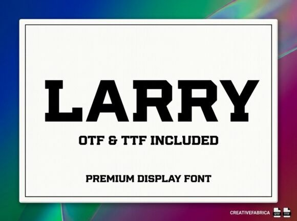 Larry: The Decorative Display Font for Handmade Brands
