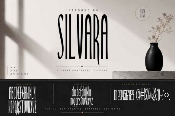 Silvara: A Bold Sans Serif Font for Modern Editorial Design